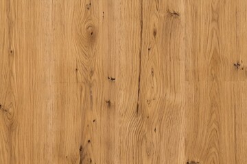 Naklejka premium Natural Light Golden Oak Wood Knotty Grain Texture Background