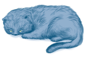 illustration of A Angry blue cat is curled up © Satakorn