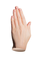 Fototapeta premium Hand gesture showing five fingers together with neat natural manicure, groomed long fingers and