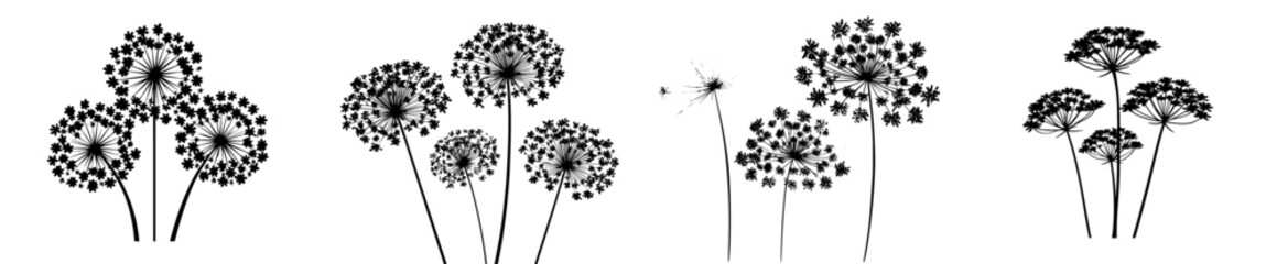 Obraz premium Whispers of the Wild: A Silhouette of Dandelion Heads and Stems