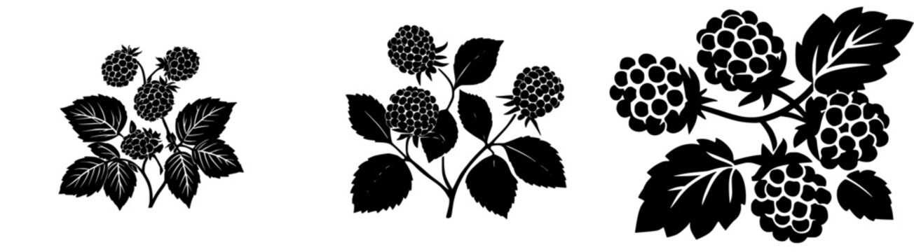 Whimsical Grapes: An Elegant Tribute to Nature's Bounty