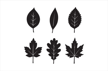 A collection of six distinct black silhouettes of leaves each with unique shapes and vein patterns