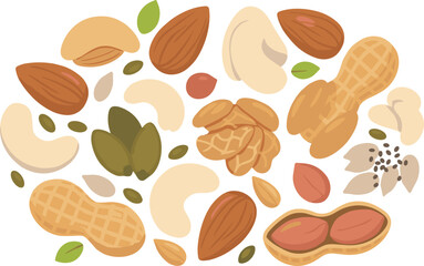Mixed Nuts Assortment with Almond Cashew Peanut Pistachio and Seeds Flat Vector Illustration Set