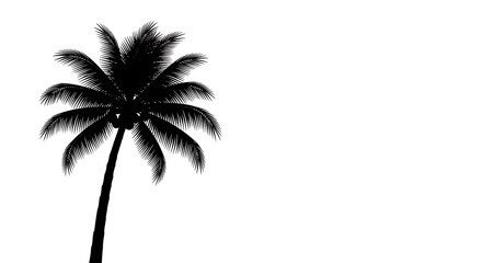 Obraz premium Black and White Palm Tree Silhouette.