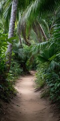 Lush tropical jungle pathway with dense green foliage and sunlit trail
