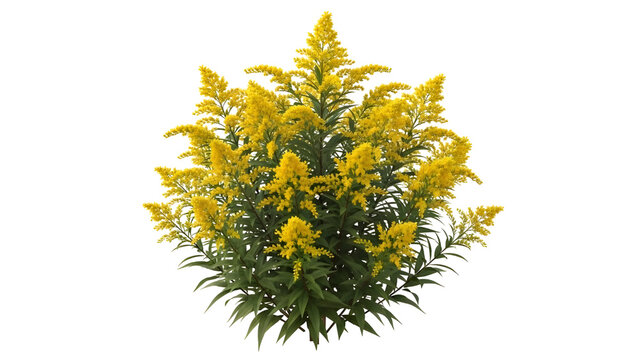 Vibrant yellow flowers in full bloom, lush green leaves, isolated on transparent background
