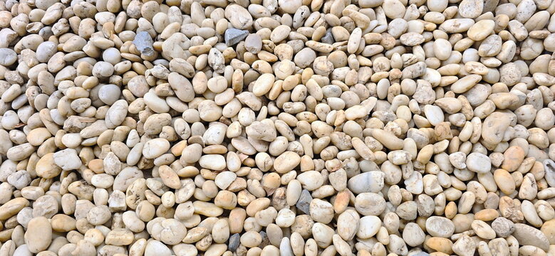 Pea gravel: Small, rounded stones with a mix of white, cream, and beige colors. River stone or River pebble used for garden decoration, walkways, exposed aggregate surfaces, water filtration material.