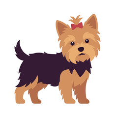Yorkshire terrier dog, Yorkie small energetic toy puppy stand pose. Compact breed playful lovely pet with funny decorated red bow, groomed hair, looking sweetly. Vector flat style cartoon illustration