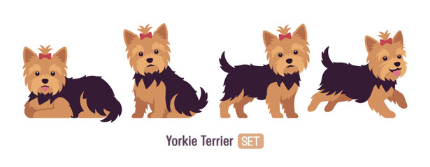 Yorkshire terrier dog, Yorkie small energetic toy puppy pose set. Compact breed playful lovely pet with funny decorated red bow, groomed hair, looking sweetly. Vector flat style cartoon illustration