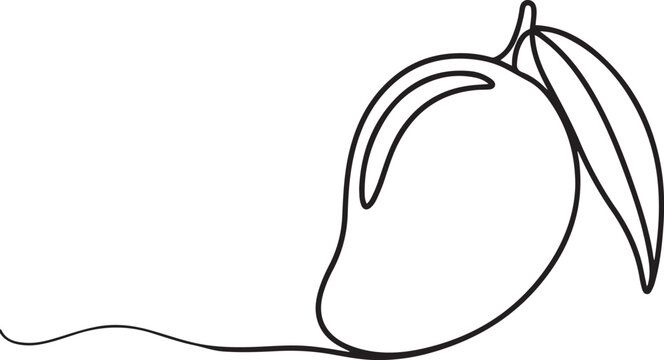Continuous one line drawing of mango fruit with leaf.one line vector illustration with white background