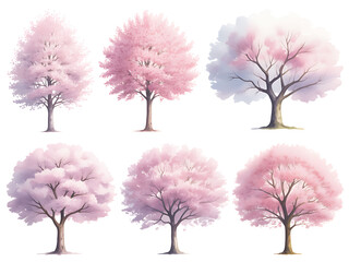 Obraz premium Soft Watercolor Cherry Blossom Trees Spring Illustration Set