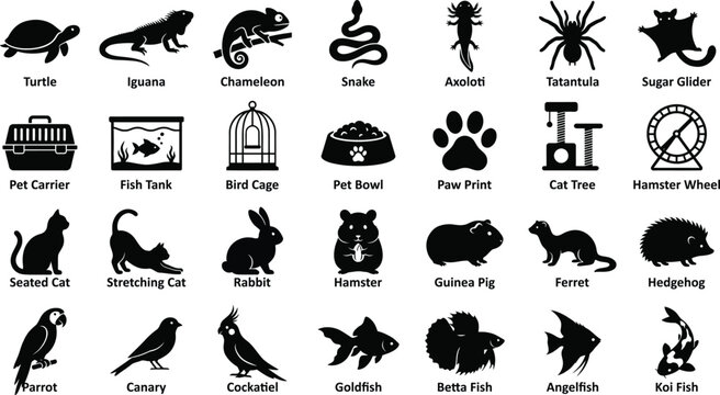 Domestic and exotic pet icons featuring iguana axolotl sugar glider and pet carrier pictograms for animal care