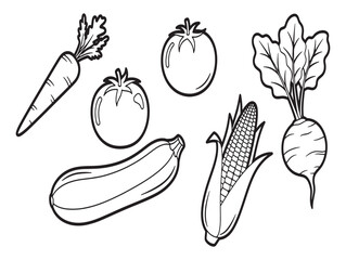 Hand drawn vegetable collection featuring carrots tomatoes zucchini corn radish and beetroot