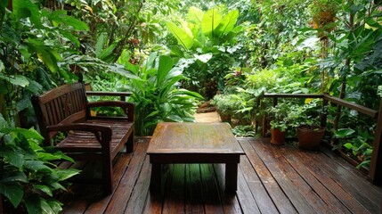 Wooden outdoor seating area surrounded by dense, lush tropical foliage