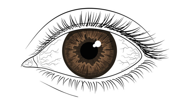 Realistic detailed close-up of a brown human eye with intricate pattern and eyelashes