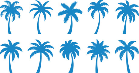 Fototapeta premium Various blue palm tree shapes are arranged neatly on a bright white background
