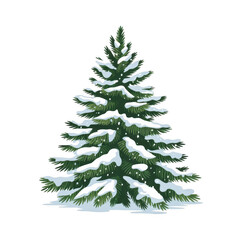 Snowy pine tree winter evergreen isolated on a transparent background