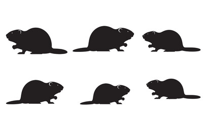 Obraz premium Six black beaver silhouettes on a white background, vector illustration