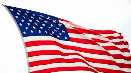 Fototapeta premium Celebrating national freedom day under american flag