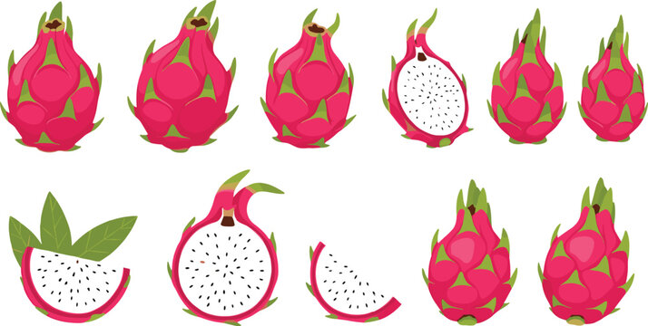 Set of dragon fruit illustrations including whole and sliced pitaya tropical fruit vector icons isolated on white background