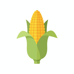 Fresh Corn on the Cob Illustration