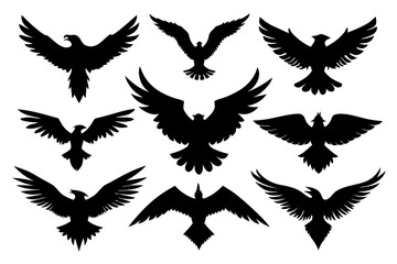 Fototapeta premium set of flying bald eagle silhouette, flying bird silhouette