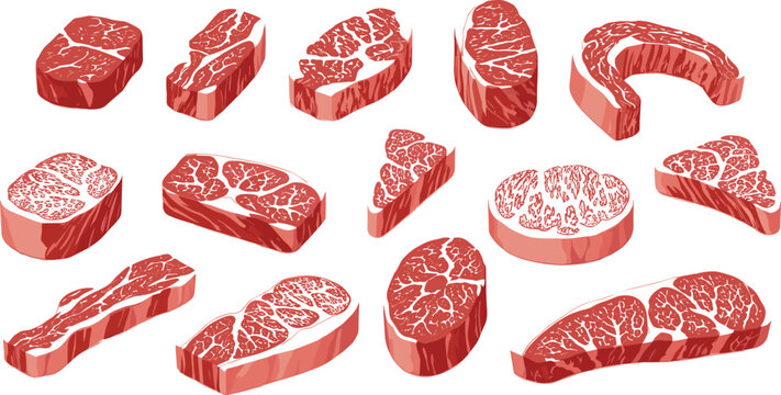 Set of raw beef steak cuts including ribeye sirloin filet and chops vector meat illustrations isolated