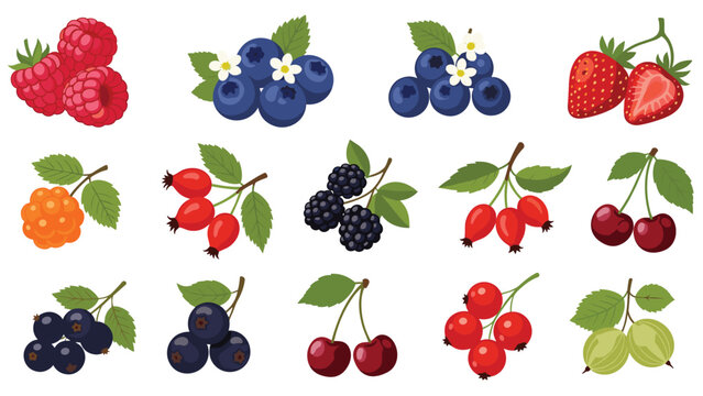 Large collection of various colorful berries including raspberries, blueberries, and strawberries isolated on a white background.