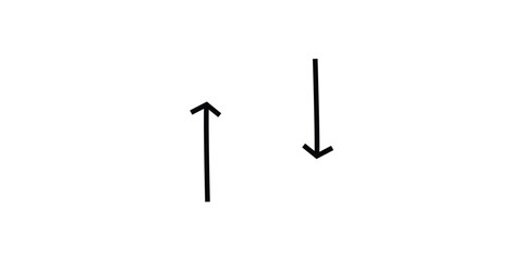 Minimalist Parallel Vertical Up and Down Directional Arrows Icon