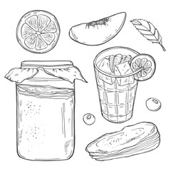 Kombucha. Healthy beverage. Ingredients for homemade fermented tea. Hand drawn vector illustration. Isolated objects on white