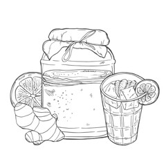 Collection of kombucha: mushroom, jar with kombucha tea. Super food. Vector hand drawn illustration