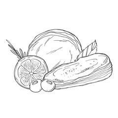 Kombucha mushroom tea. Super food. Vector hand drawn illustration