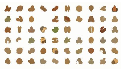 Obraz premium Color Line Nut Icon Collection with 100 Thin Stroke Vector Icons