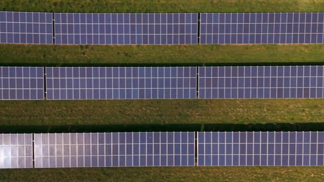 Aerial view of rows of solar panels reflecting sunlight, creating a stark contrast against the surrounding green fields, Perth, Scotland, United Kingdom.