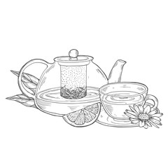 Tea set with healthy green tea, slice of lemon,chamomile. Teapot and cup. Hand drawn vector illustration in outline style.