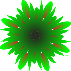 Abstract Green Radial Floral Mandala with Soft Red Accents