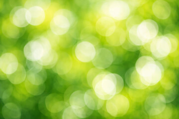Obraz premium Sunlit Green Nature Bokeh Background with Soft Circles of Defocused Foliage for Fresh Spring Concept 