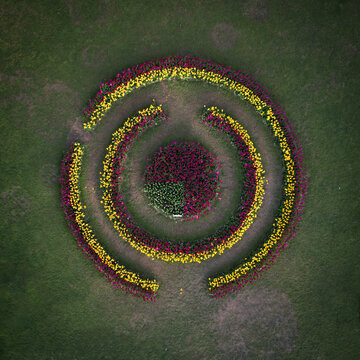 Aerial view of concentric circles of vibrant flowers at Parc de l'Independance, a burst of color amidst the green, Morges, Vaud, Switzerland.