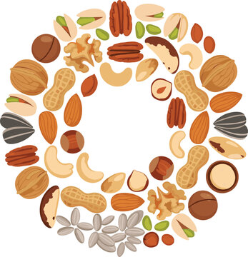 Nut and seed wreath frame vector illustration with mixed almonds, walnuts, peanuts and pistachios for healthy food design