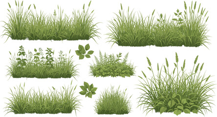 Realistic meadow grass and wild plant patch vector set with green foliage for landscape and nature design © Lunavera art