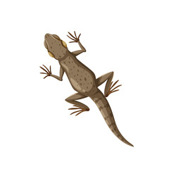 Naklejka premium simple vector