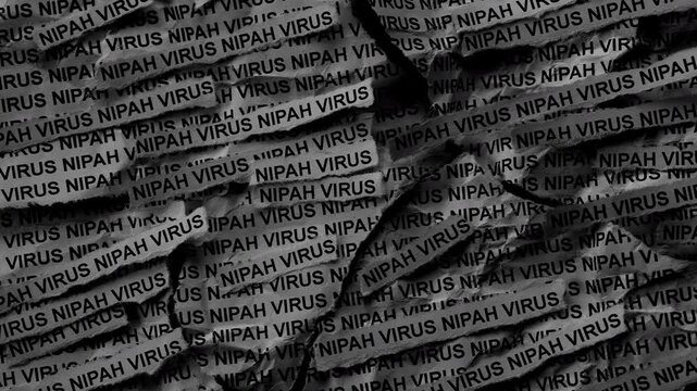 Strips of newspaper with the words Nipah Virus typed on them. Black and white. Close up.