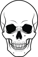 Fototapeta premium Human Skull Illustration Front View Black White.
