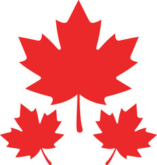 Fototapeta premium A vibrant red maple leaf prominently displayed against a clean white background