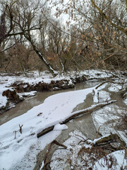 Stream in the snowy floodplain forest1