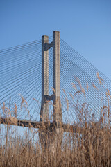 Fototapeta premium 冬の秩父・青空に映える秩父公園橋（秩父ハープ橋）と冬枯れの河原の風景