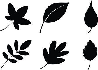 Leaf silhouette collection, botanical vector icons, foliage shapes, natural design elements, black graphic symbols, isolated on white background, perfect for nature themes