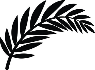Obraz premium Fern branch silhouette on transparent background for organic and natural design