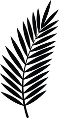 Obraz premium Tropical palm leaf frond Silhouette isolated on transparent background, exotic plant element for design and decoration