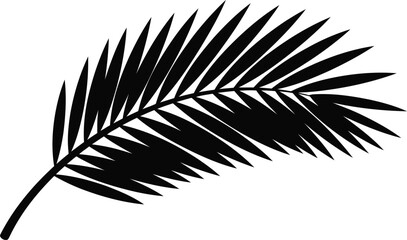 Obraz premium Black silhouette palm frond on transparent background, tropical leaf design element for web, print, and decoration projects